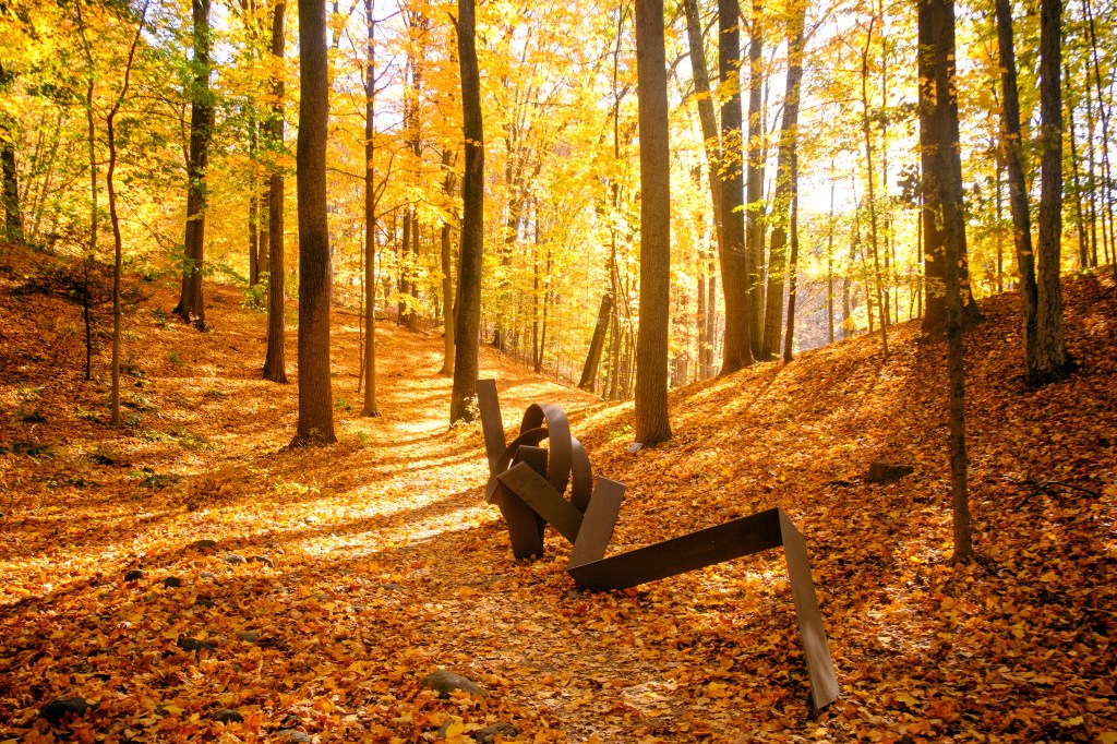 David Stoltz's metal sculpture 'Endgame, 1972' located in the North Woods area of ​​the Storm King Art Center in the autumn season.